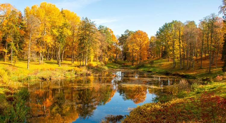 Herbstlandschaft